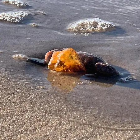 W&g Rewal-widok Na Morze, Z Prywatnym Zejsciem Na Plaze