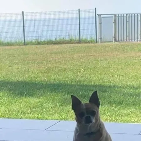 W&g Rewal-widok Na Morze, Z Prywatnym Zejsciem Na Plaze דירה *