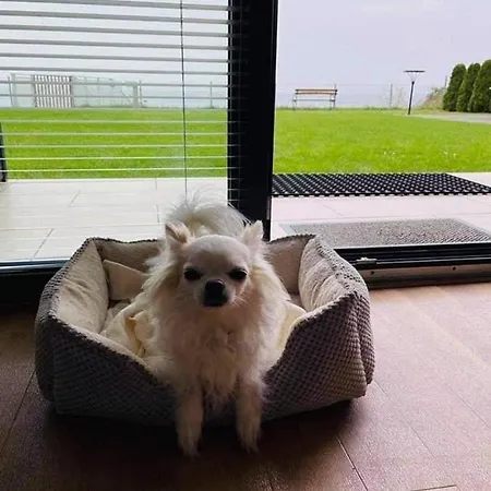 W&g Rewal-widok Na Morze, Z Prywatnym Zejsciem Na Plaze דירה *