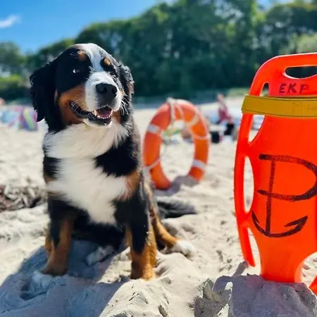 W&g Rewal-widok Na Morze, Z Prywatnym Zejsciem Na Plaze רבאל