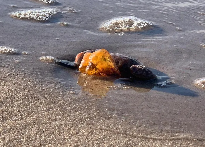 W&g Rewal-widok Na Morze, Z Prywatnym Zejsciem Na Plaze