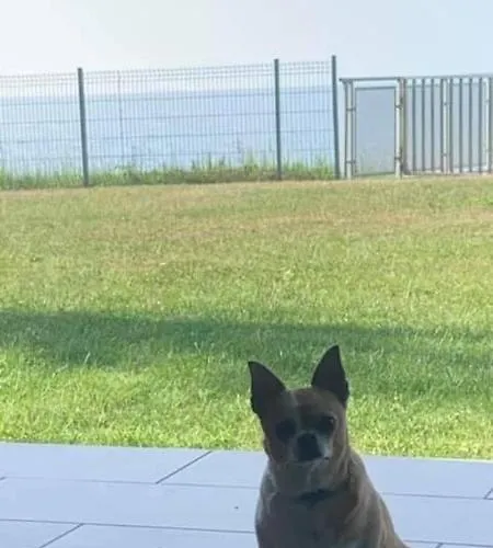 W&g Rewal-widok Na Morze, Z Prywatnym Zejsciem Na Plaze Appartement *