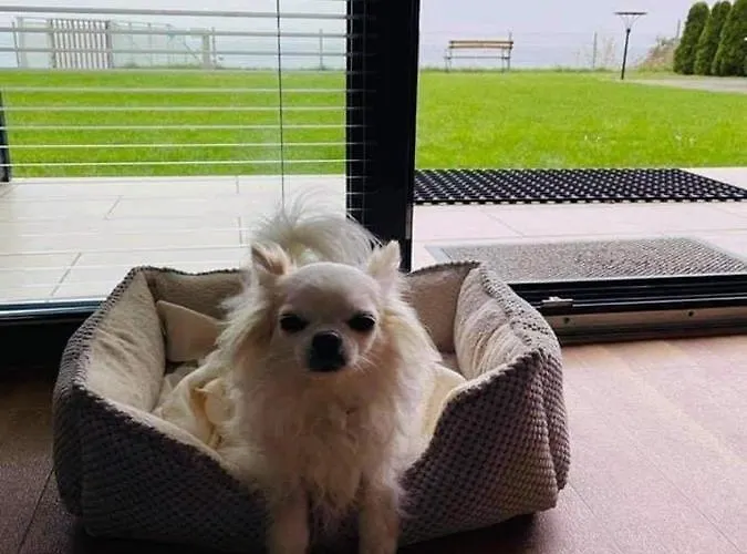 W&g Rewal-widok Na Morze, Z Prywatnym Zejsciem Na Plaze Appartement *