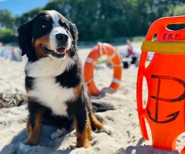 W&g Rewal-widok Na Morze, Z Prywatnym Zejsciem Na Plaze Rewal