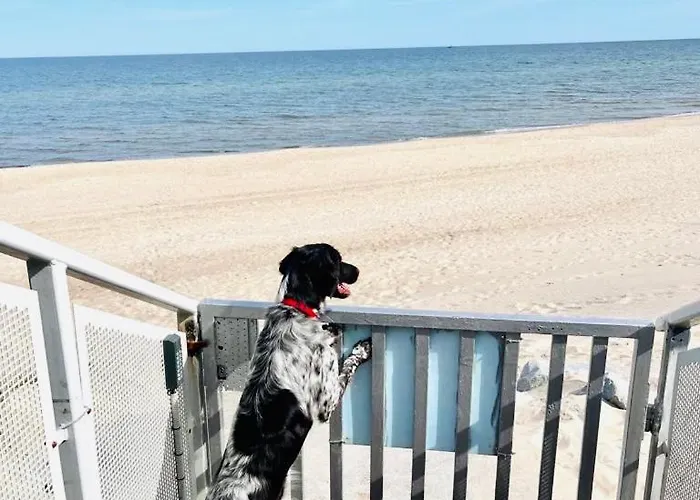 W&g Rewal-widok Na Morze, Z Prywatnym Zejsciem Na Plaze Appartement *