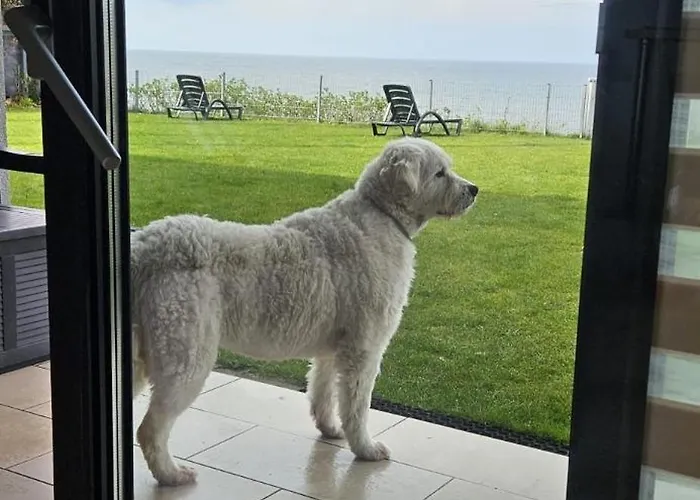 W&g Rewal-widok Na Morze, Z Prywatnym Zejsciem Na Plaze